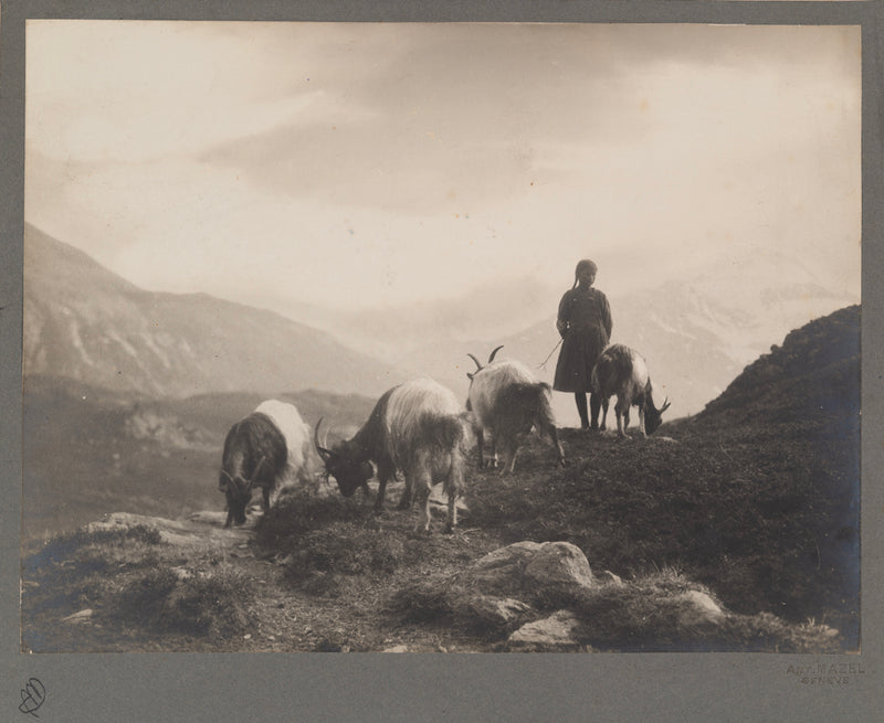 Antoine_Mazel_Bergère avec chèvres