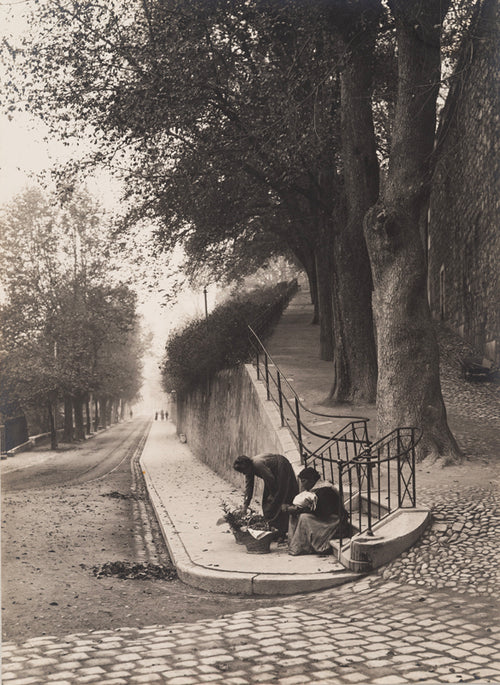 Genève - La rue de la Croix-Rouge et la rampe de la Treille