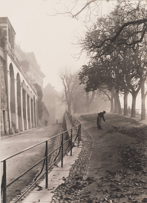 Ancienne photographie de Genève - La promenade de la Treille vers 1920