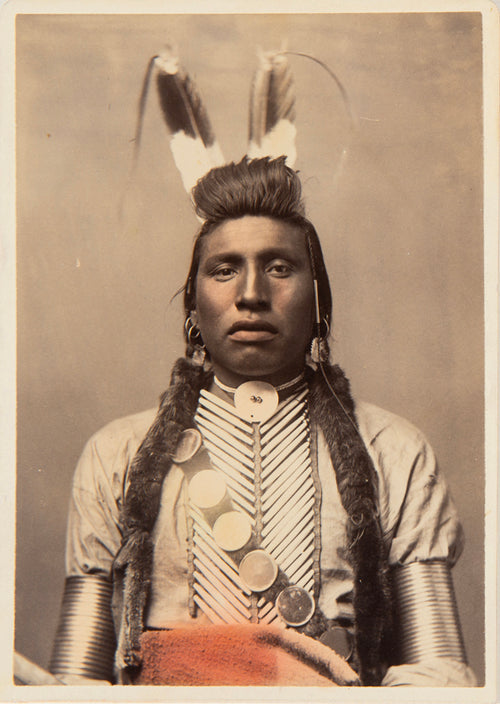 Indiens - Chief White Bull, USA
