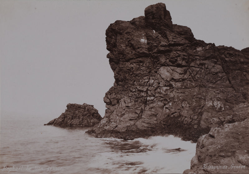 Le lion de mer, St-Raphaël, France. Photo Fred Boissonnas