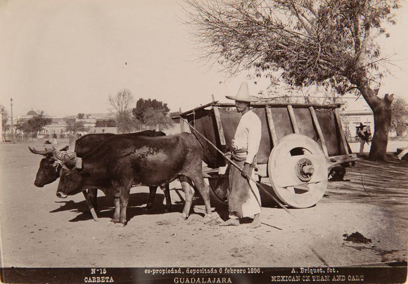 A. Briquet - Guadalajara, Carreta, Attelage de bœufs mexicain et charrette, Mexique