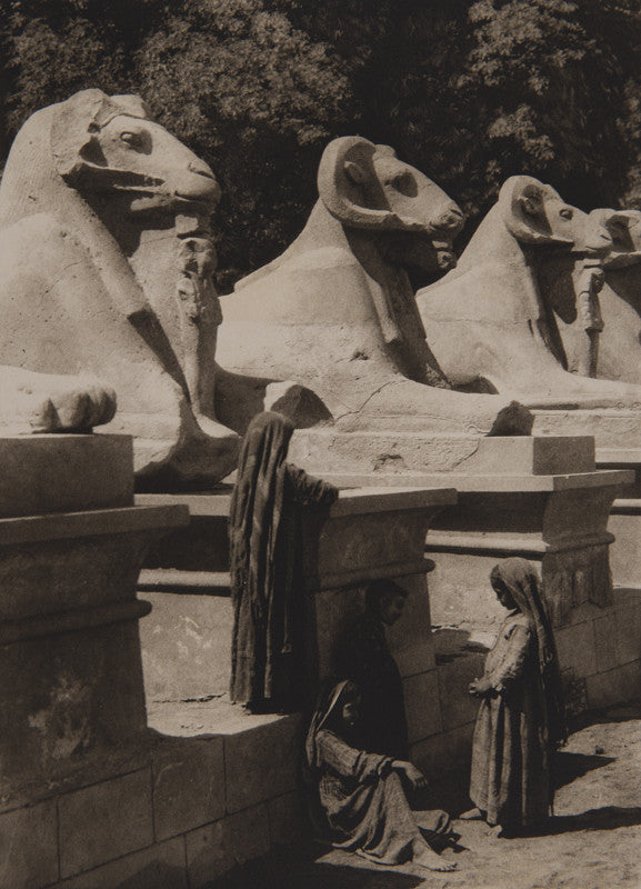 Fred Boissonnas - Les béliers de Karnak, Egypte