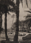 Fred Boissonnas - Temple de Sheshonq à El Hibeh, Egypte