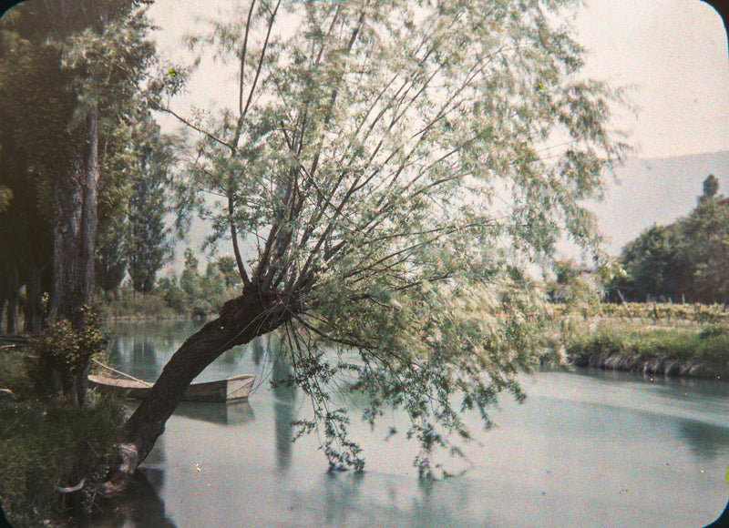 Bord de l'Aire, Genève, Suisse. Louis Rodieux - Autochrome vers 1920