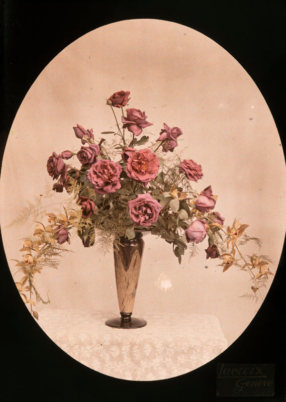 Autochrome de Lacroix Fils, Bouquet de roses No 4  Modifier le texte alternatif