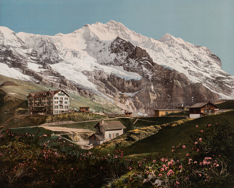 Photochrom - Scheidegg mit Jungfrau und Silberhorn, Berne, Suisse