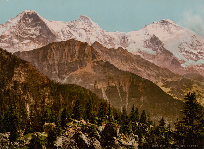 Photochrom - Schynige-Platte, Berne, Suisse