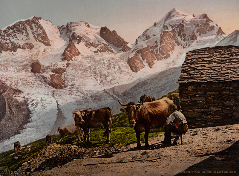 Photochrom - Soir dans les Alpes - Abend am Roseggletscher, Grisons, Suisse