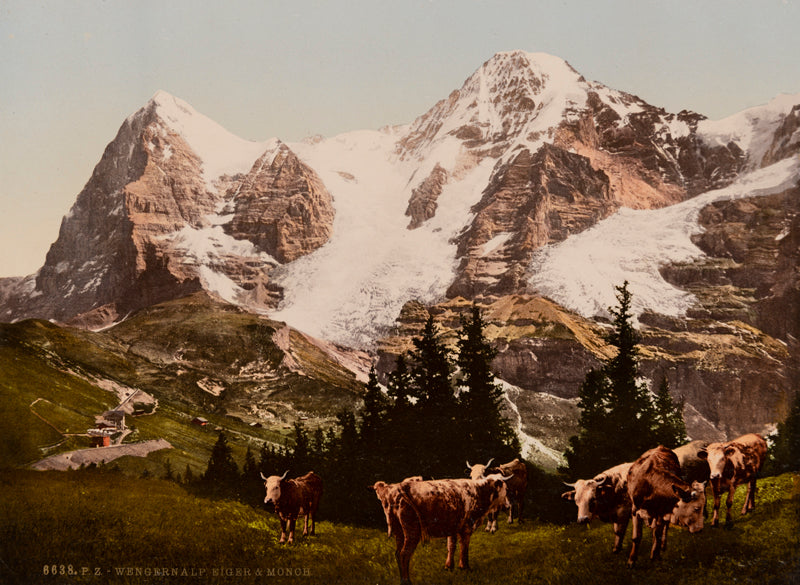 Photochrom - Wengernalp, Eiger & Mönch, Berne, Suisse