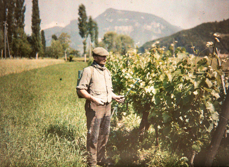 Louis Rodieux - Autochrome - Sulfatage, Genève, Suisse